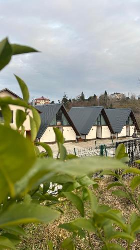a row of houses with green roofs at Willa's Trebisonda in Arsin