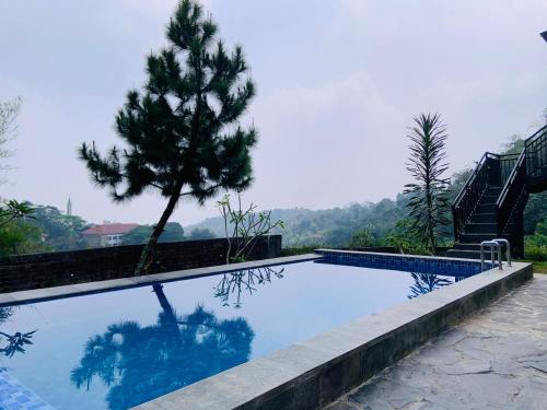 a swimming pool with a tree in the middle at Villa Kay Mountain in Bogor