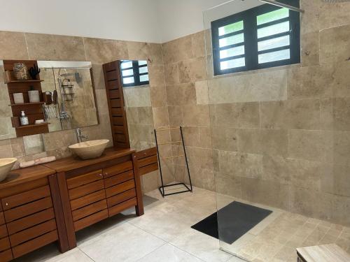 a bathroom with a sink and a mirror at Villa chandelle in Saint-Pierre