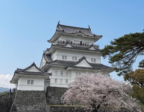 a tall white building with aakura tree in front of it at 梅の宿 Umenoya 小田原城5分箱根15分城下町と温泉を愉しむ東海道の古民家ステイ PC1 in Odawara