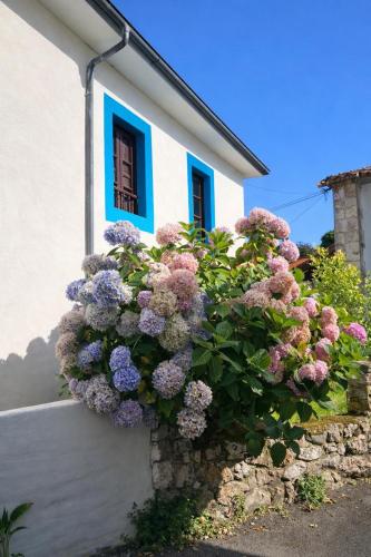 a bush of purple flowers on the side of a building at La casina de Barro in Llanes