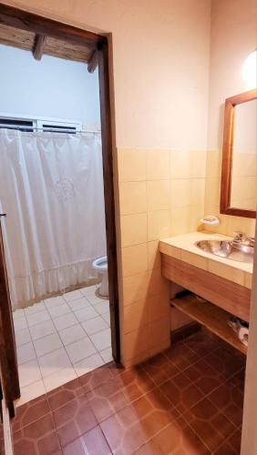 a bathroom with a shower and a sink and a toilet at Barreal La Templanza Casa de Campo in Barreal