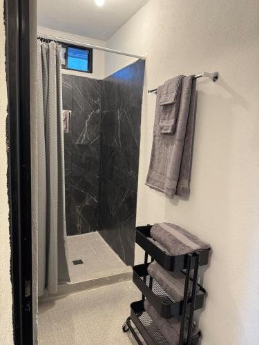 a bathroom with a shower and a walk in shower at Equipped apartment in industrial area in Ciudad Satelite del Norte