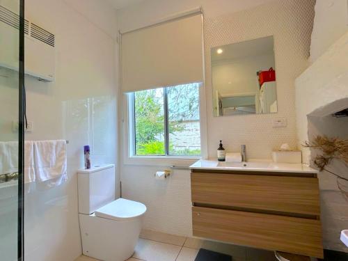 a bathroom with a toilet and a sink and a mirror at Plum Blossom Cottage in Katoomba