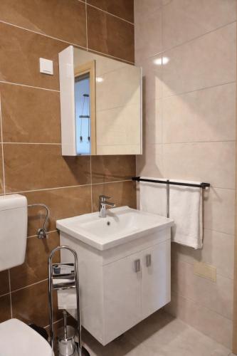 a bathroom with a white sink and a mirror at Muki Oaza Apartman in Tuzla