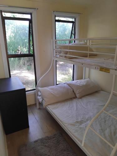 Un dormitorio con dos literas y dos ventanas. en Absolute Beachfront, en Savusavu