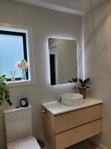 a bathroom with a sink and a mirror at Clearwater Private Guest Suite in Dunedin