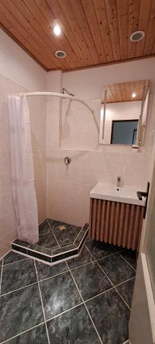 a bathroom with a shower and a sink at U Piškota in Desná
