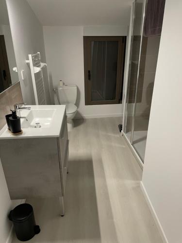 a bathroom with a sink and a shower and a toilet at Appartement terrasse en ville in Blois
