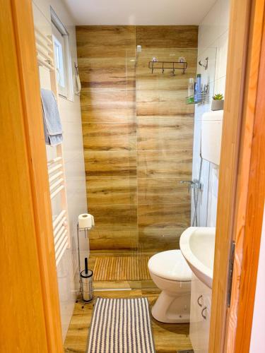 a bathroom with a toilet and a glass shower at Vila Xenos Loft Karakter Zlatibor in Zlatibor