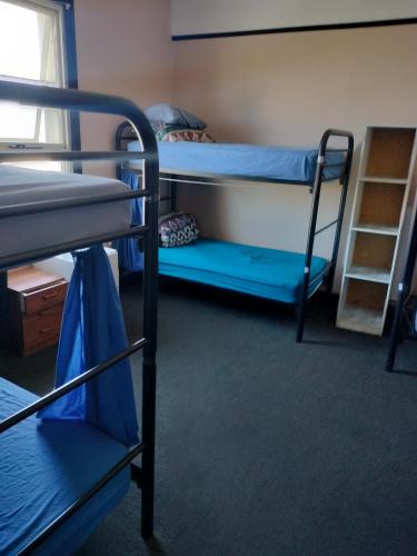 a dorm room with two bunk beds and a ladder at Albany Bayview Lodge in Albany