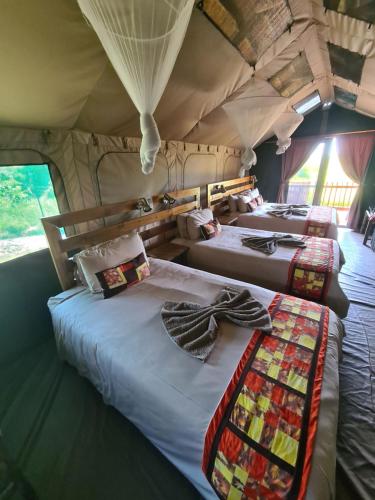 Un grupo de cuatro camas en una tienda de campaña. en Mwandi View, en Kavimba