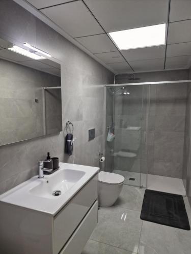 a bathroom with a sink and a shower and a toilet at Lassa Holiday Apartament in Torrevieja