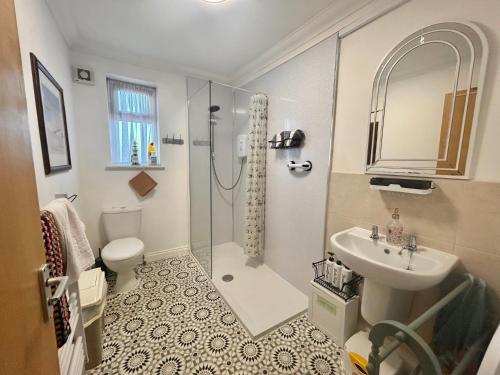 a bathroom with a shower and a toilet and a sink at The Nest at Wynncroft in Torquay
