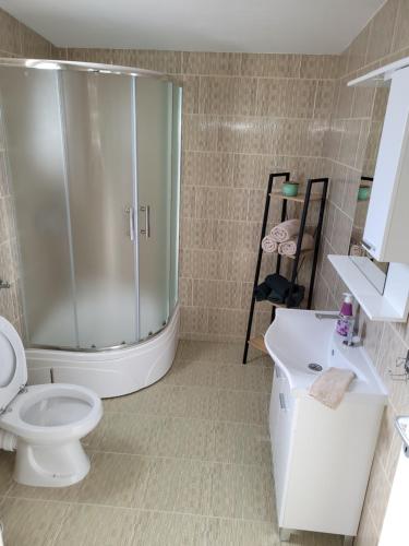 a bathroom with a shower and a toilet and a sink at Stan na dan BOVKA in Široki Brijeg