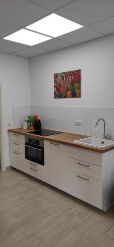 a kitchen with a sink and a counter top at Eleonoras Ferienwohnung in Würzburg Stadt inklusive eigenen Parkplätzen vor der Tür in Würzburg