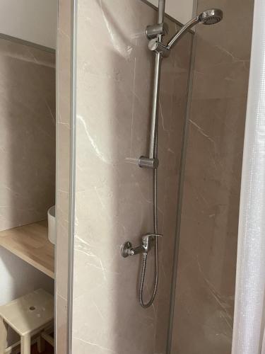 a shower with a glass door in a bathroom at Maisonnette de Plage in Saint-Hilaire-de-Riez