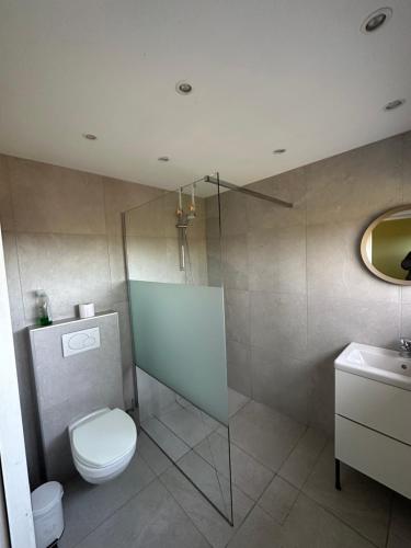 a bathroom with a toilet and a shower and a sink at Hamerenne in Rochefort