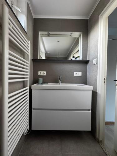 a bathroom with a sink and a mirror at Spacious house next to the mill! in Westkapelle