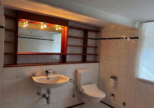 a bathroom with a sink and a toilet and a mirror at Relax alpino con sauna - Ca da Viola in Cavagnago