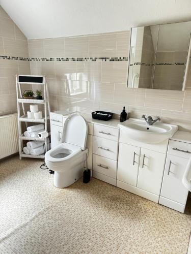 a white bathroom with a toilet and a sink at Goosemoor Cottage in Longdon