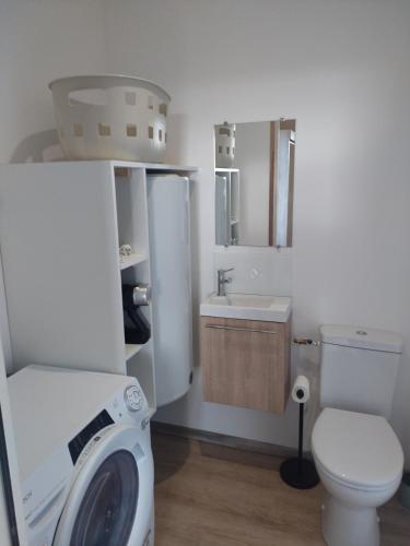 a bathroom with a washing machine and a toilet at La Tour de Vesly in Belval