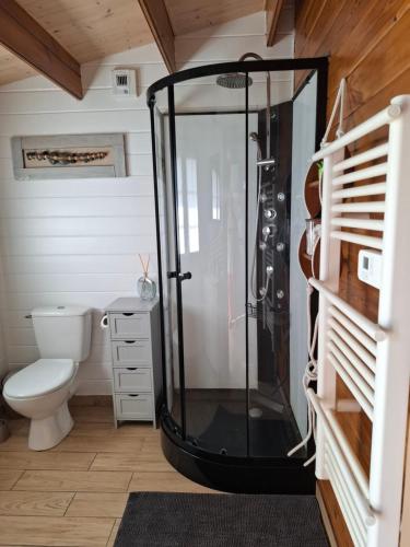 une salle de bains avec douche et toilettes dans l'établissement Chalet, au Teich