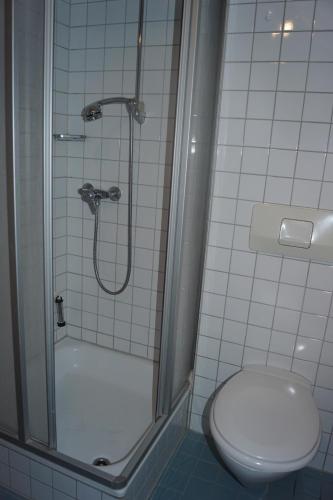 a bathroom with a shower with a toilet and a shower at Ferienwohnung Duß in Niederalteich