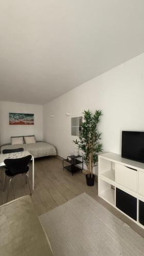 My Cozy Oura Studio