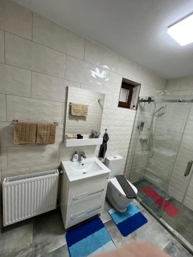 a bathroom with a shower and a sink and a toilet at Emanuela Apartments in Pecica Veche
