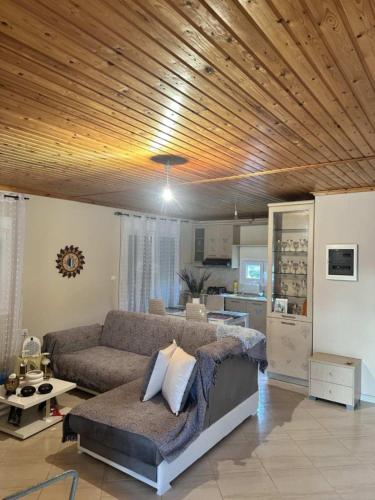 Dinas house 3