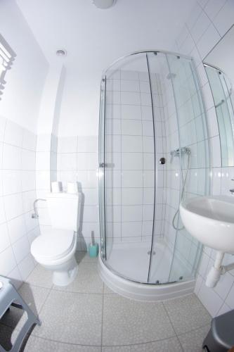 a bathroom with a shower and a toilet and a sink at Bajanówka in Jazowa