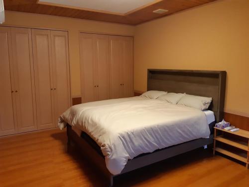 Beachfront Villa kanistel