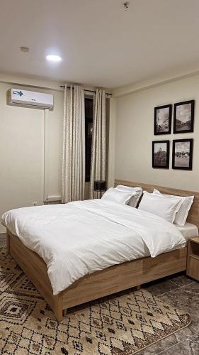 lush suites