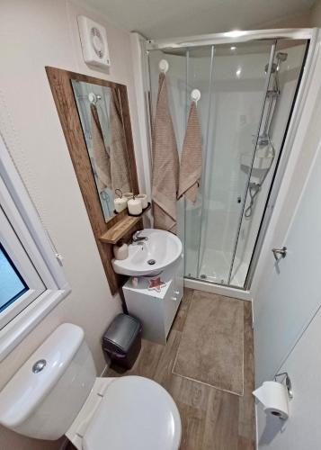 a bathroom with a toilet and a sink and a shower at B17 SilverSands Escape in Lossiemouth