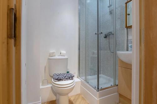 a bathroom with a shower and a toilet and a sink at The Cozy Covert in Spondon, Derby in Derby