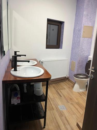 a bathroom with a sink and a toilet at Cămăruța din Apuseni in Valea Ierii