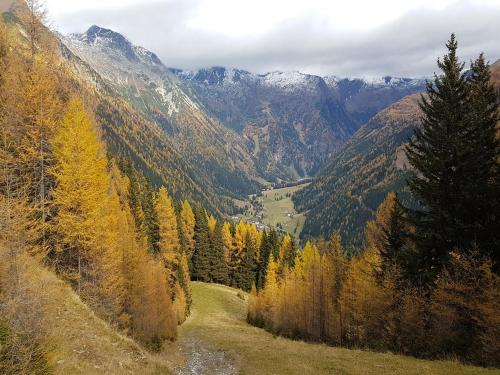 a view of a mountain valley with trees and a river at Hotel Mallnitz in Mallnitz