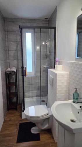 a bathroom with a toilet and a sink and a shower at Apartament 5 minut od Parku Zamkowego in Pszczyna