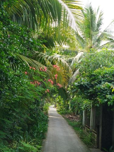 a dirt road with palm trees on either side at Green Coconut Island in Ấp Thới Hòa (3)