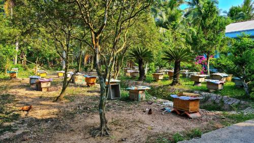 a group of tables in a park with trees at Green Coconut Island in Ấp Thới Hòa (3)