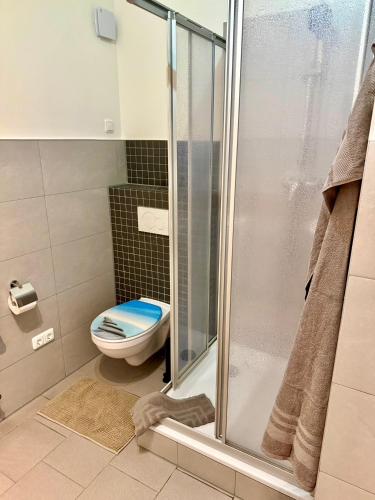 a bathroom with a toilet and a glass shower at FeWo Gretl Stauden in Walkertshofen