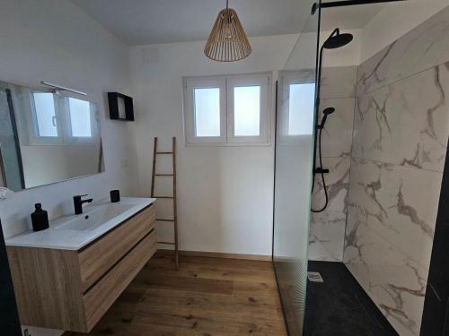 un bagno con lavandino e doccia di Ty Koad Penhoat a Plourivo