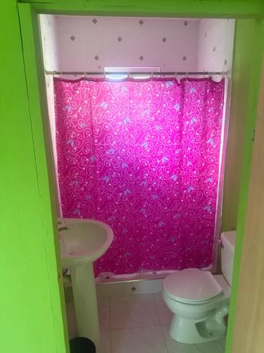a pink shower curtain in a bathroom with a toilet at Reggae Moon Guesthouse in Falmouth