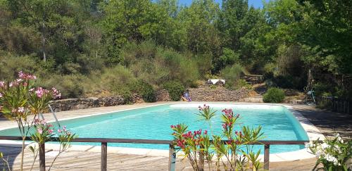 una piscina en un patio con árboles y flores en Le Castillou, en Luc-sur-Aude