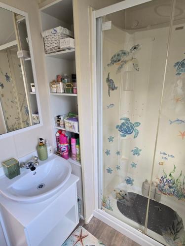 a bathroom with a shower and a sink at Seaside Caravan Home in Reighton
