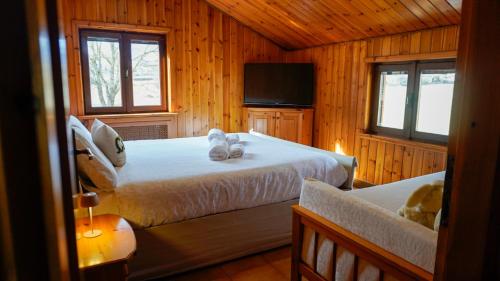 a bedroom with two beds and a tv and windows at C'Amunin Casa Vacanze in Chiuro