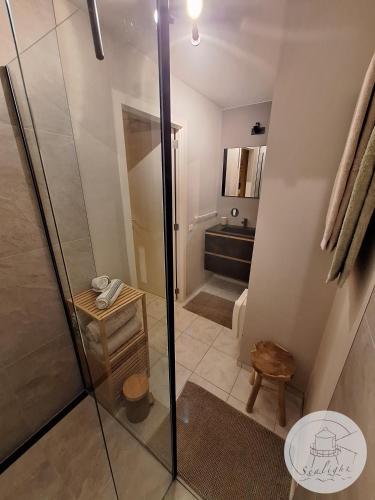 a bathroom with a shower and a toilet and a sink at Appartement Sealight in De Haan