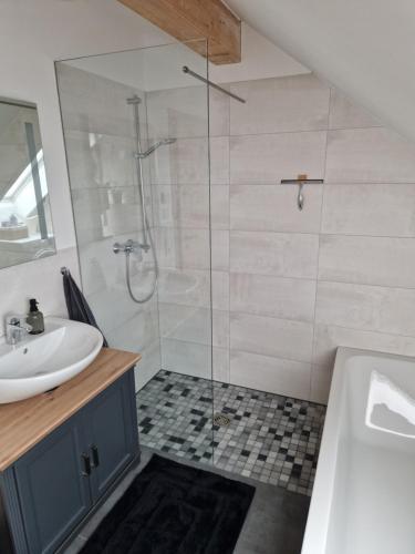 a bathroom with a shower and a sink at Moderne Ferienwohnung in Hainichen in Hainichen