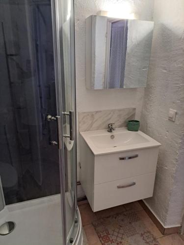 a bathroom with a shower and a sink and a mirror at Logis du Bourg in Puy-lʼÉvêque